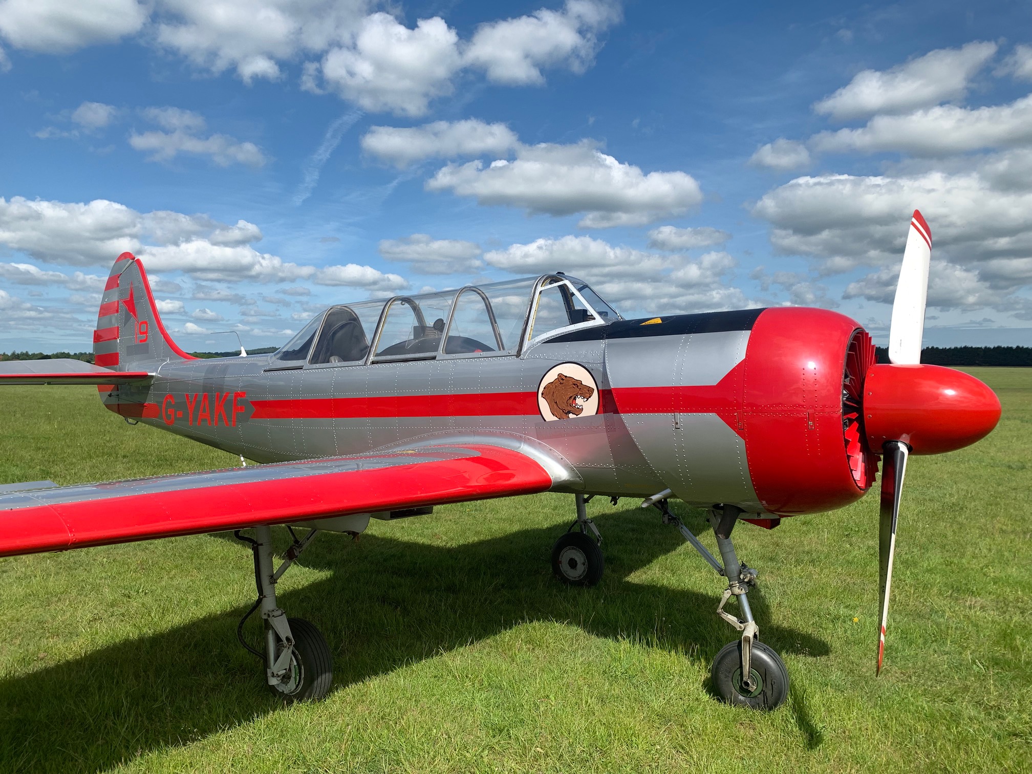 1991 Yakovlev Yak52 for sale