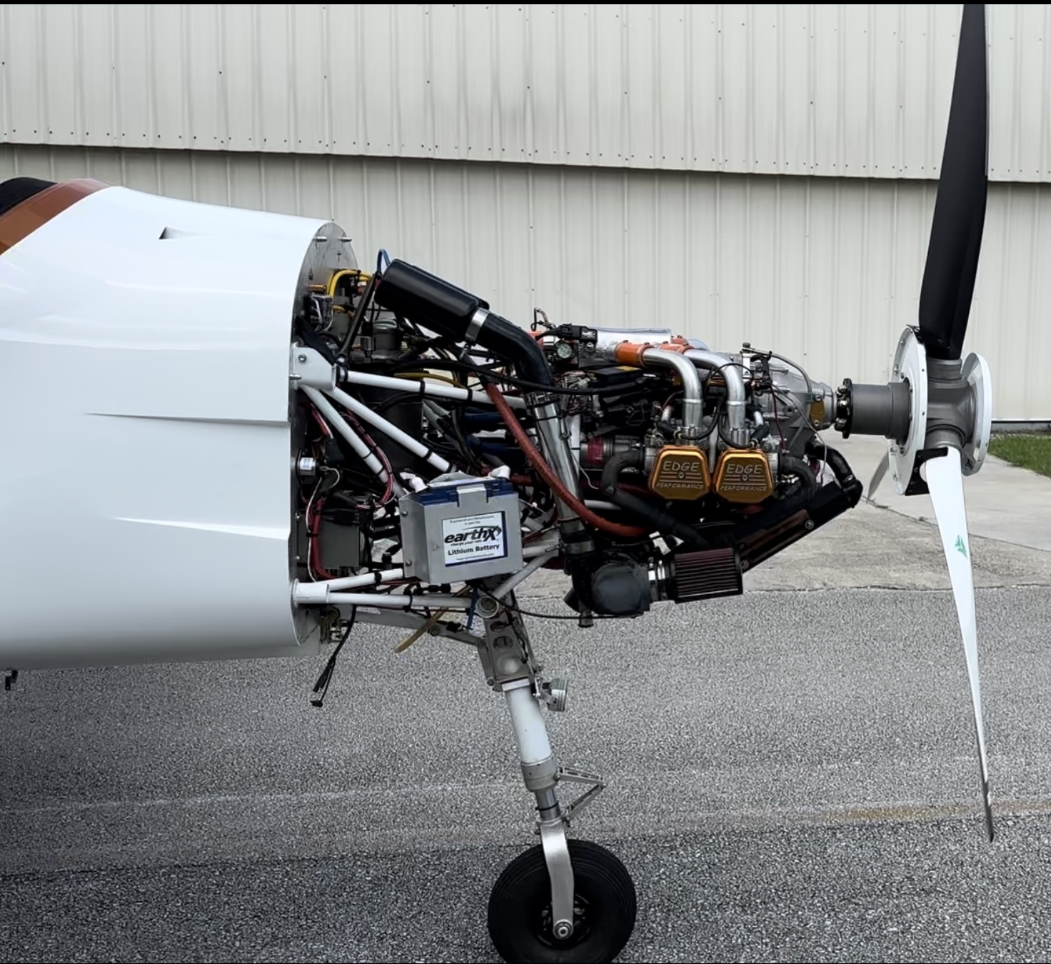 2022 Pelegrin Tarragon for sale