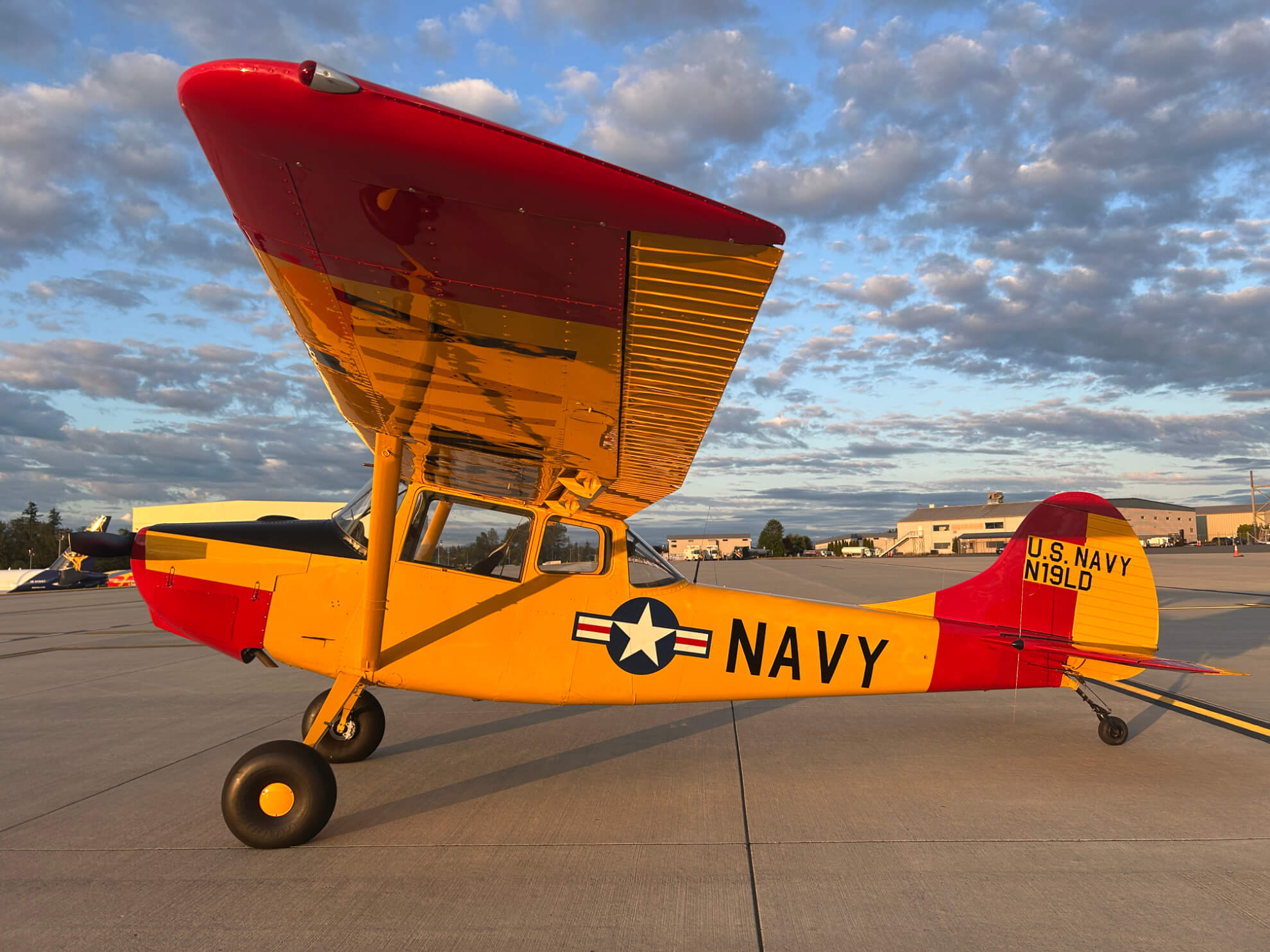 1951 Cessna L-19 Birddog
