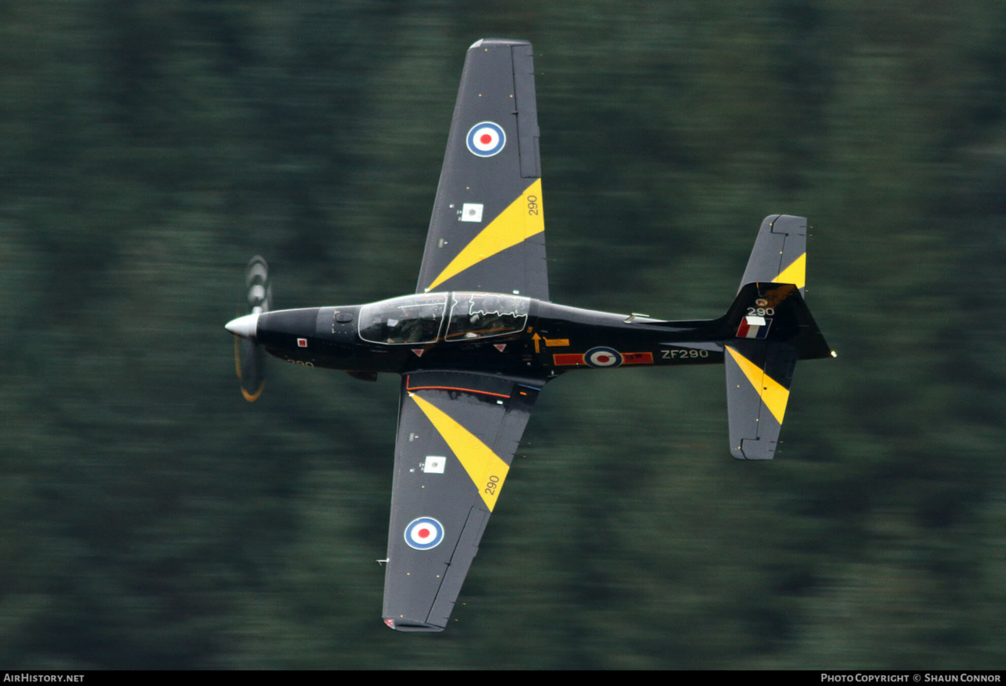 Shorts Tucano MK-1